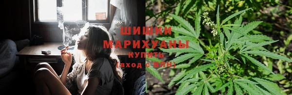 ГАЛЛЮЦИНОГЕННЫЕ ГРИБЫ Остров