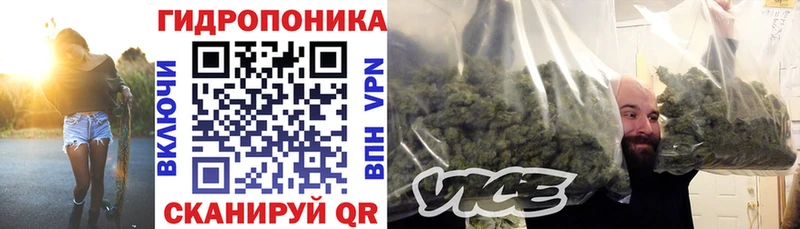 Конопля ГИДРОПОН  Нефтекумск 